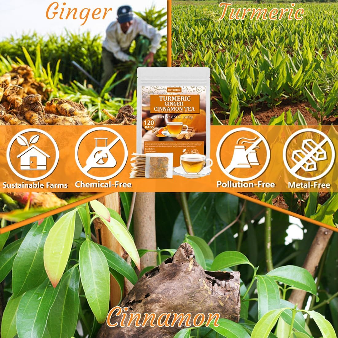 Té de cúrcuma, jengibre y canela 100 % natural