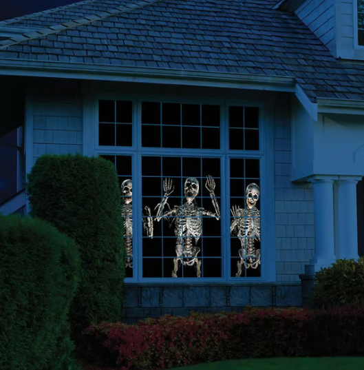 PROYECCIÓN HOLOGRAFICA