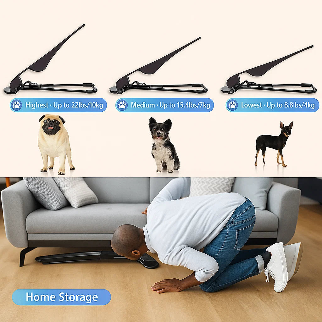 🐾 Mecedora Premium para Mascotas