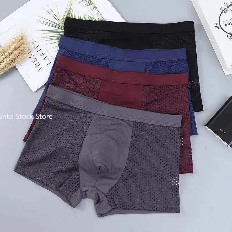 Boxer PremiumX3