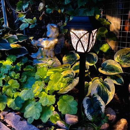 SuNova™ Lámpara Solar ✨PROMOCIÓN X4✨