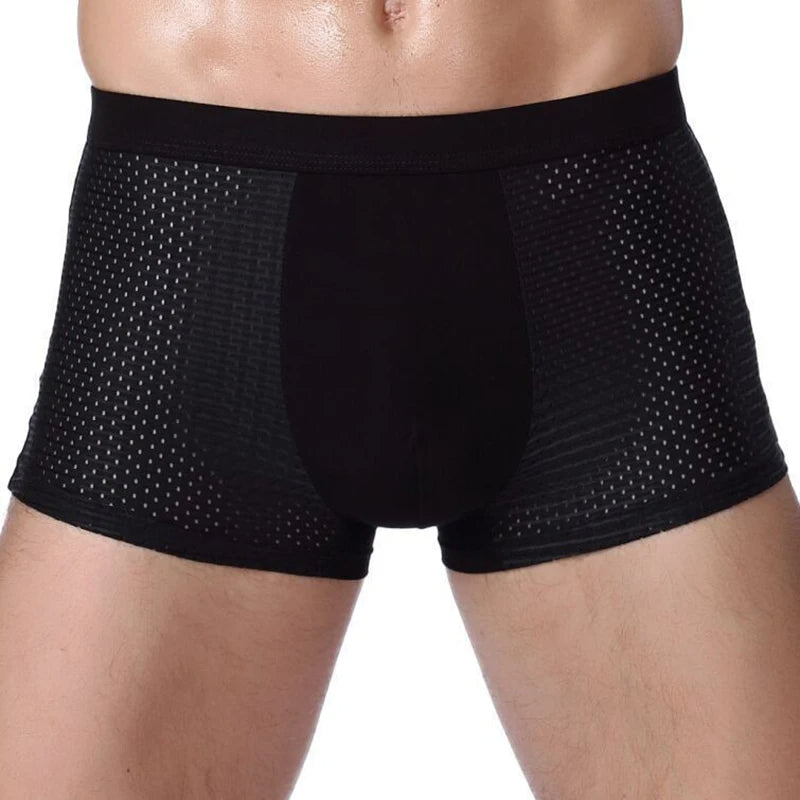 Boxer PremiumX3