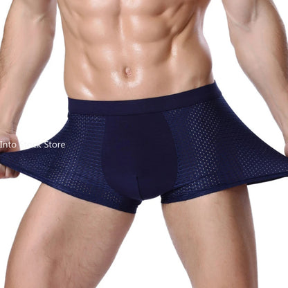 Boxer PremiumX3