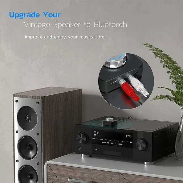 SoundLink™ Receptor de Audio Inalambrico