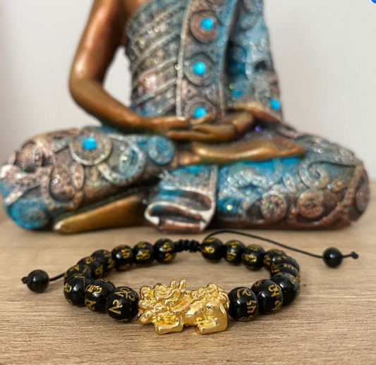 Pulsera Feng Shui de la Buena Fortuna 2 x 1