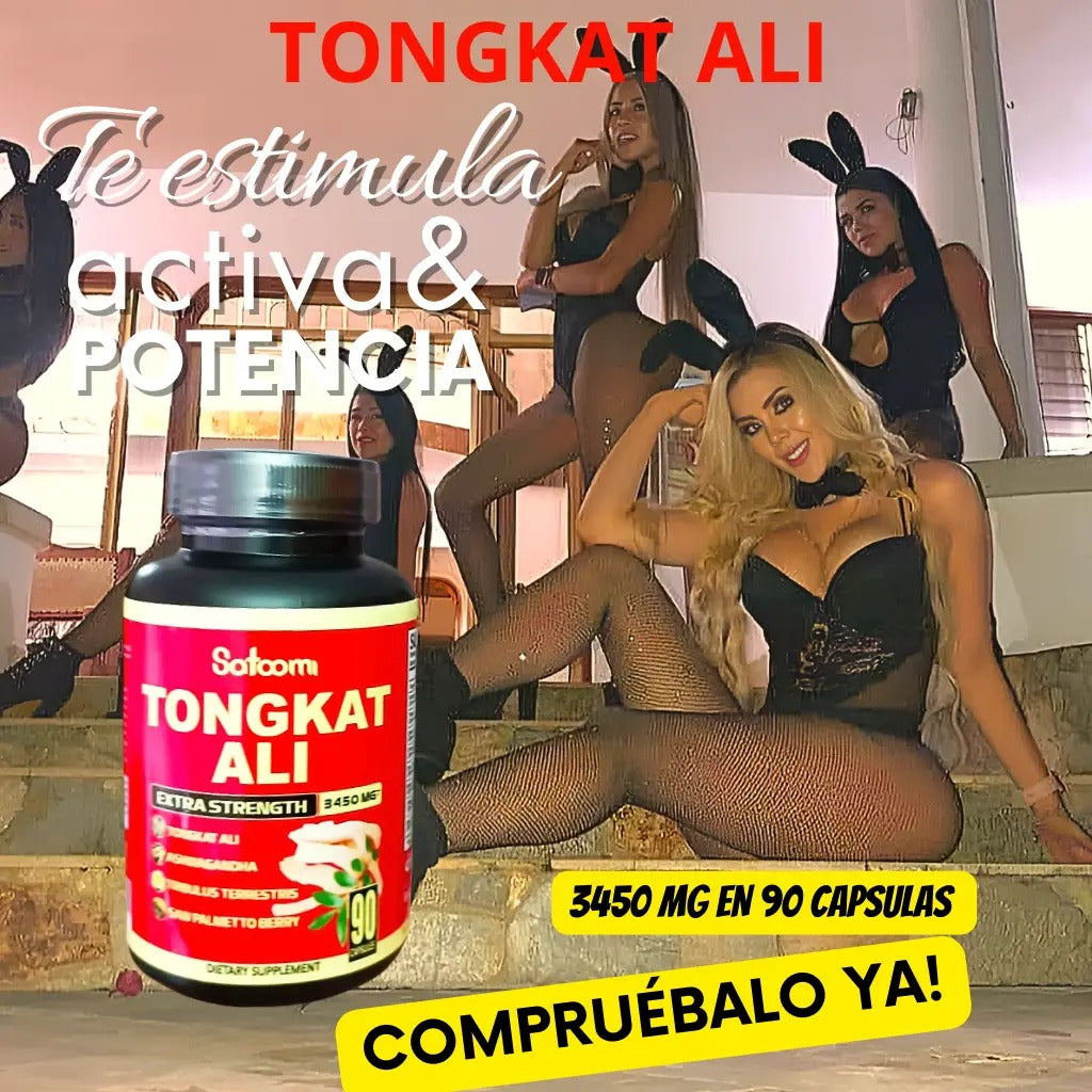 tongkat paila