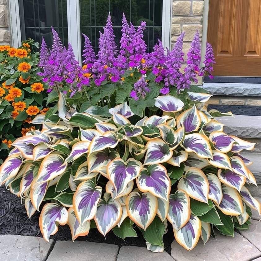 🌿 100 Semillas de Hosta Premium Raras – ¡Solo $89.900!