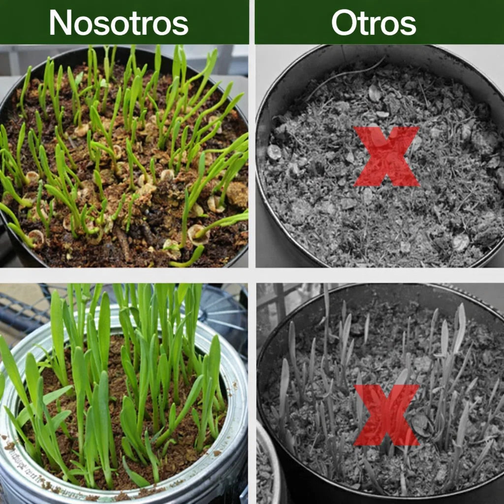 🌱 Fibra de Coco Orgánica Premium (PAGA 3, LLEVA 5)